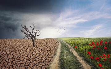 Top 5 fenntarthatósági trend 2026-ban – új korszak kezdődhet